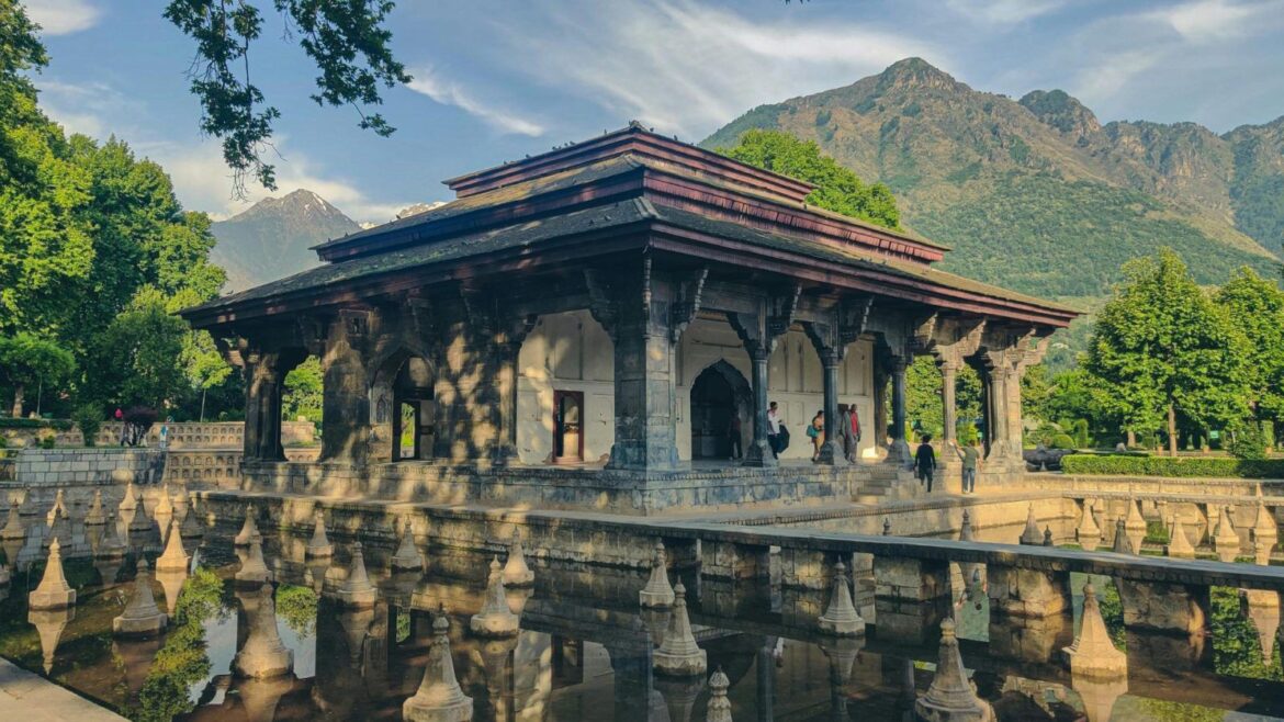 The Quiet Therapy Of India’s Green Spaces: Healing in Nature