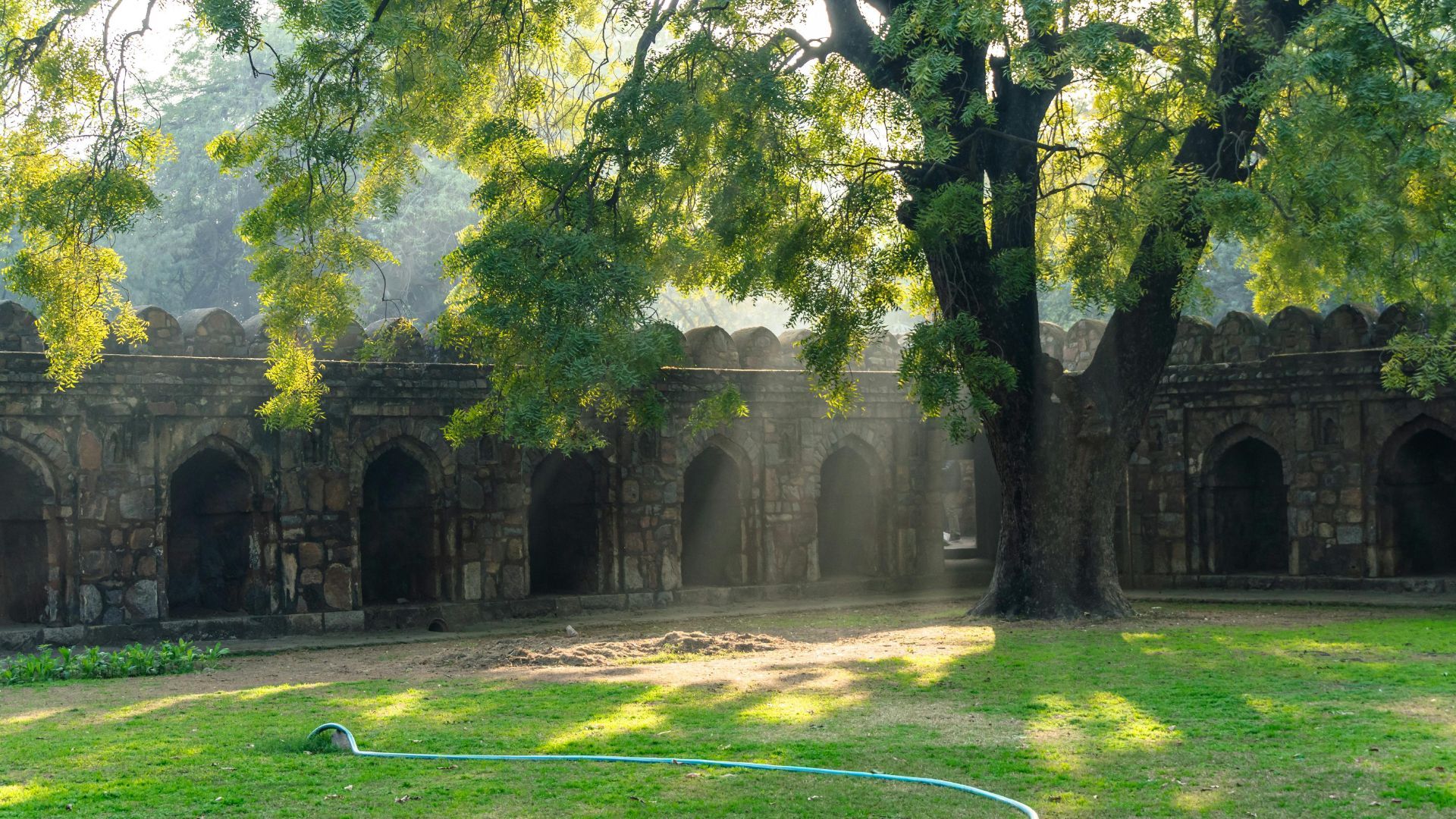 lodhi garden