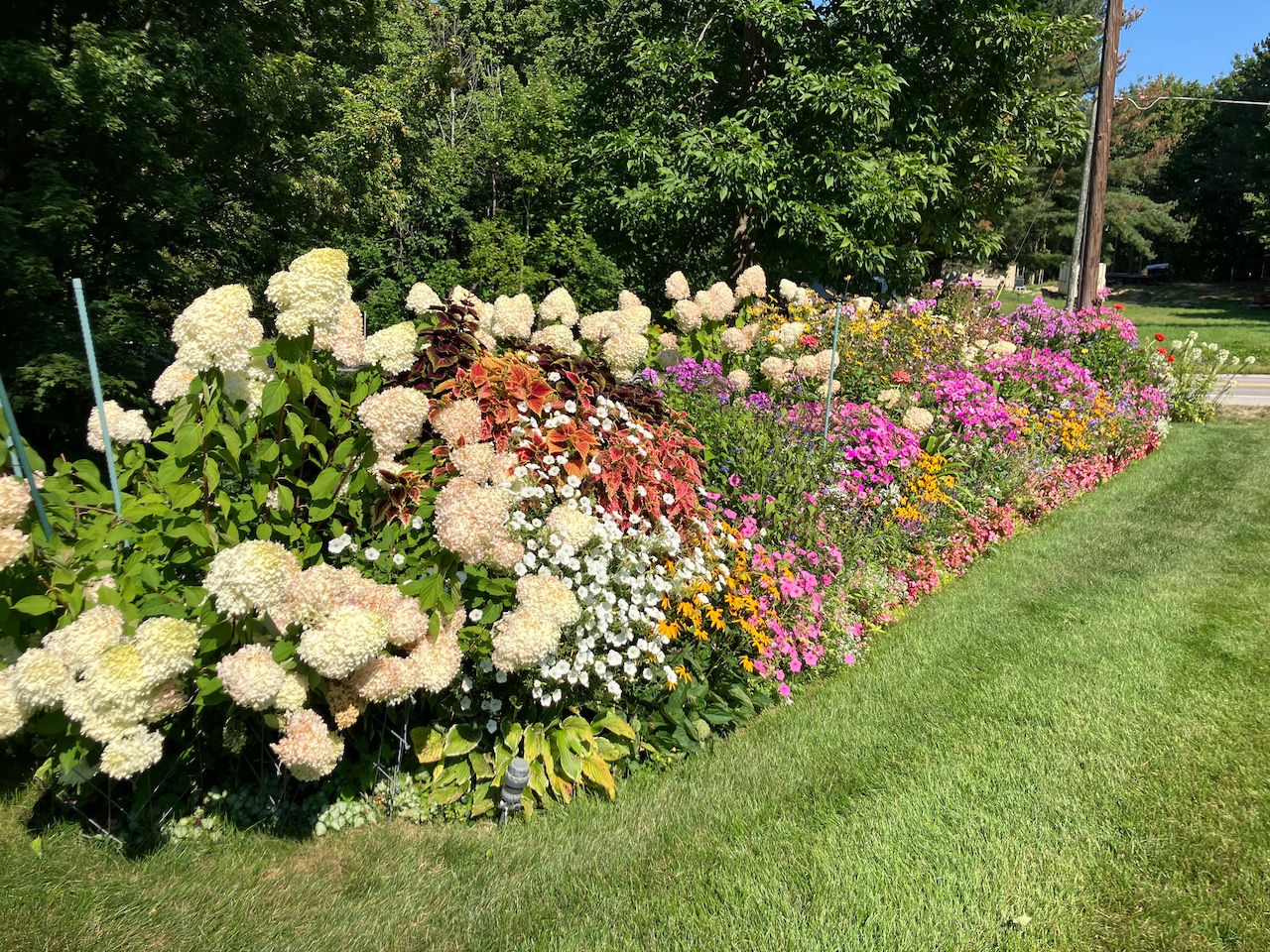 Best Flower Garden