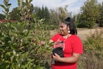 Lucy Racehorse Suppah collects  chokecherry at the NAYA community garden in Northeast Portland, Sep. 4, 2025. Suppah is the the Indigenous food sovereignty coordinator at NAYA.