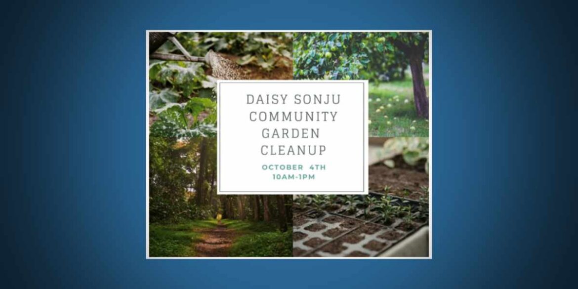Volunteers needed for Daisy Sonju Community Garden Work Party on Saturday, Oct. 4