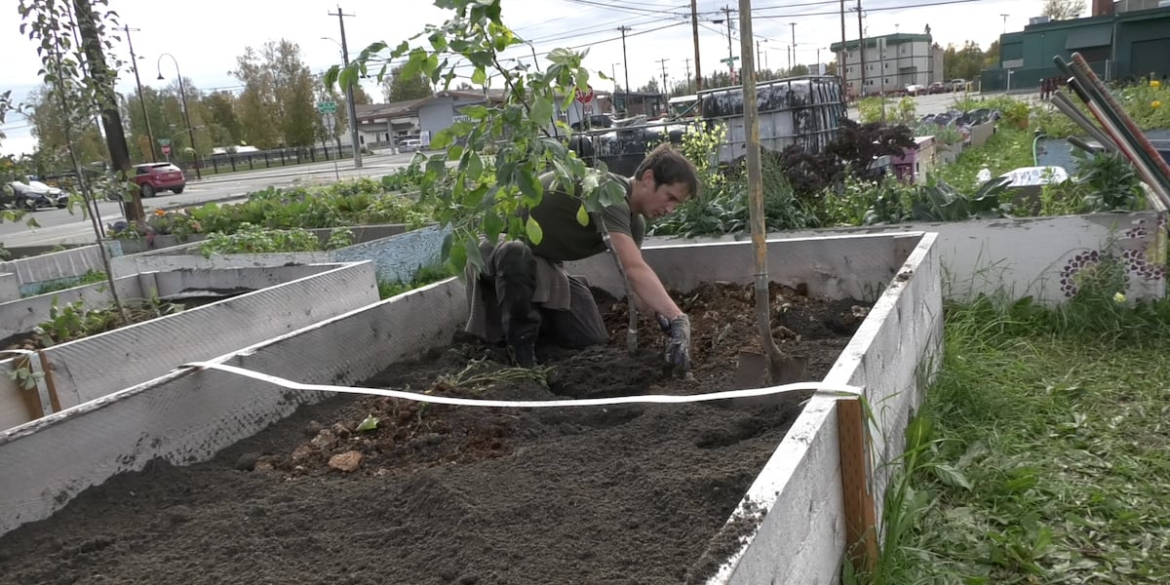 Stone Soup community garden grows with perennials, new garden beds Stone Soup community garden grows with perennials, new garden beds