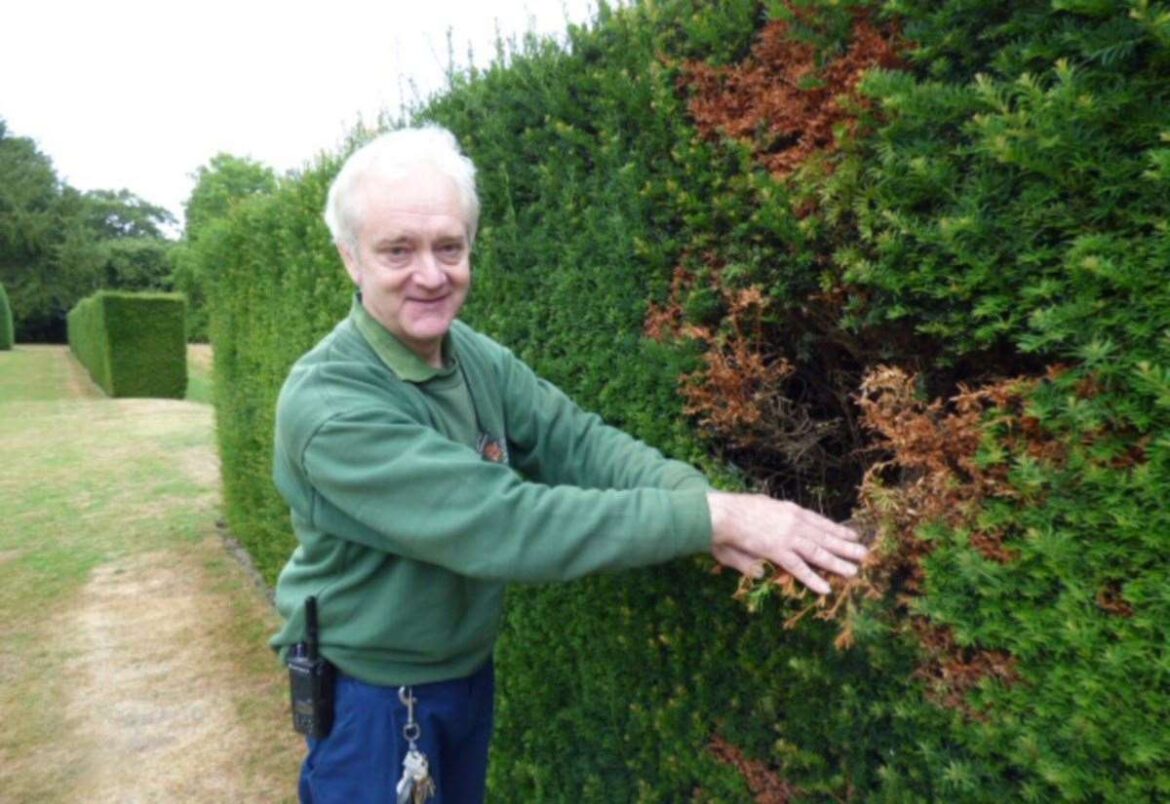 Madingley Hall head gardener discusses his 37-plus years looking after magnificent grounds Madingley Hall head gardener discusses his 37-plus years looking after magnificent grounds
