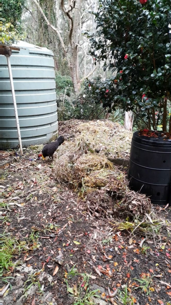 Bringing these guys back from Endangered.