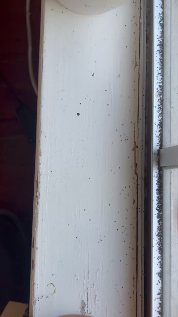 Does this mean all of my plants will get infested with whatever these are? Or does this mean there is already a pretty serious problem?