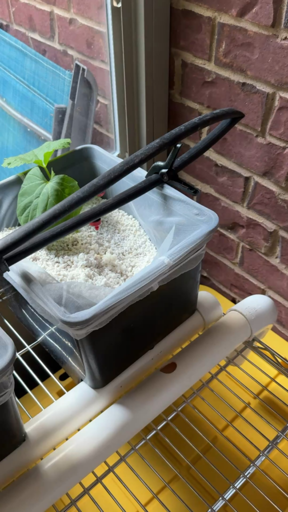 Upgraded to wire shelf form cinder blocks Upgraded to wire shelf form cinder blocks