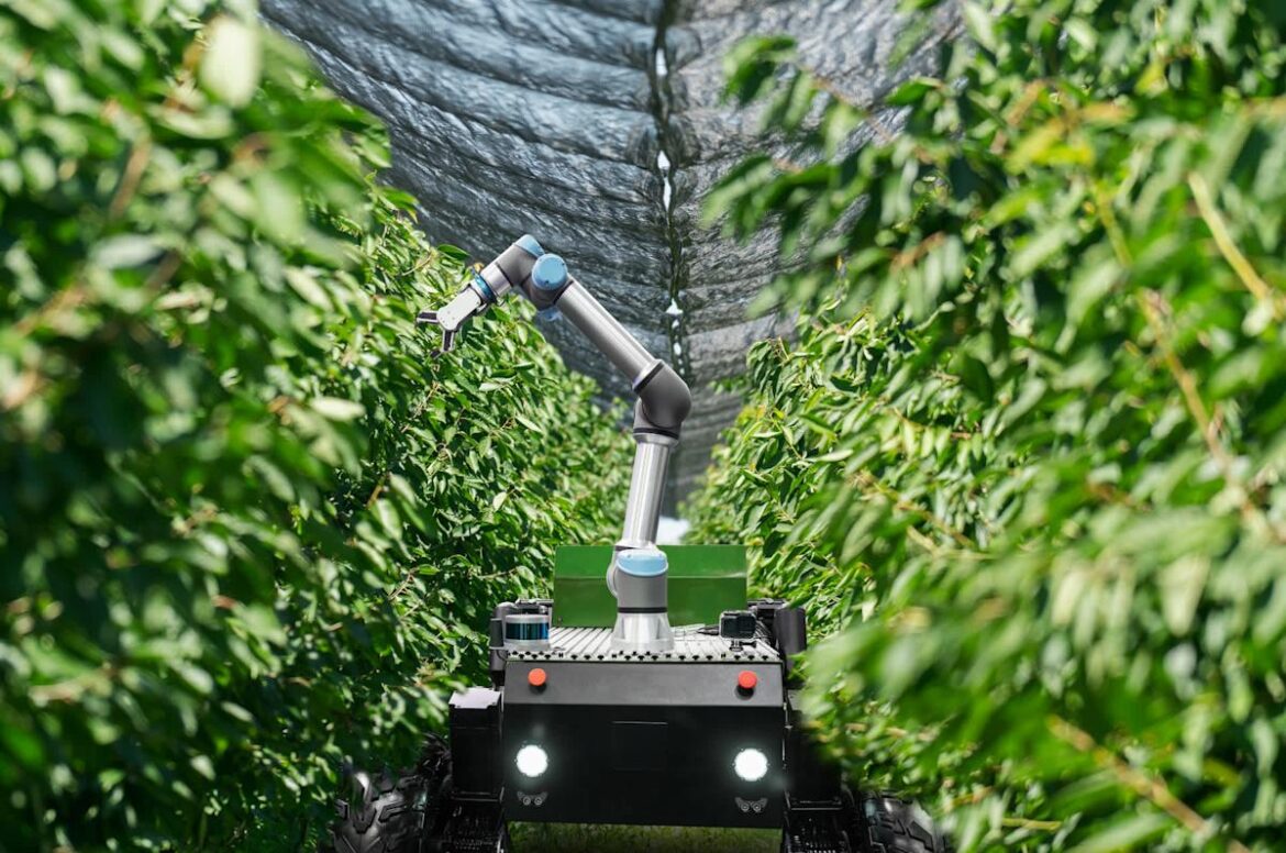 'They could become a minimum viable product'