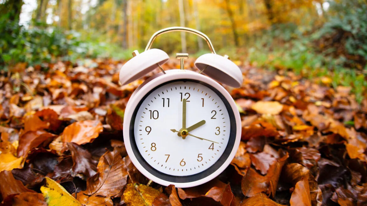 How Does Daylight Saving Time Impact Your Gardening Schedule? Yahoo lifestyle home