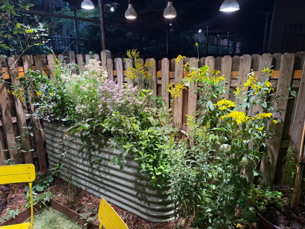 My most unnatural native garden My most unnatural native garden