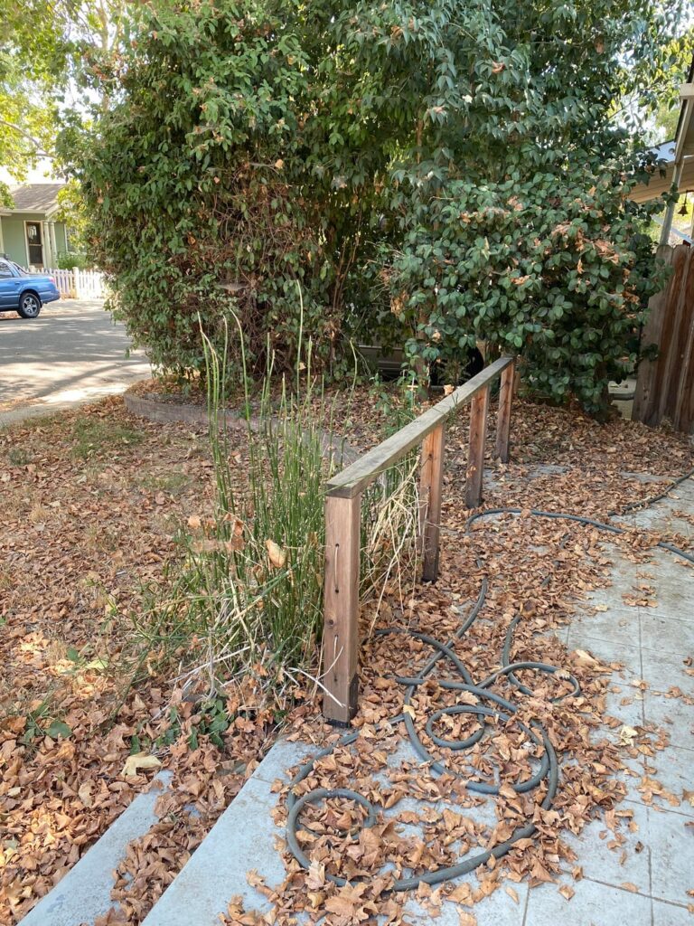 Ideas for Front Lawn Ideas for Front Lawn