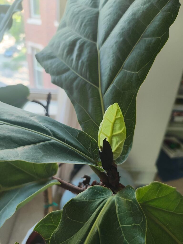 She's Growing 🥹