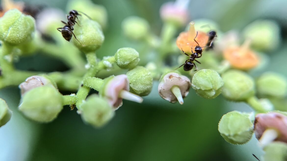 "Thank you for sharing."