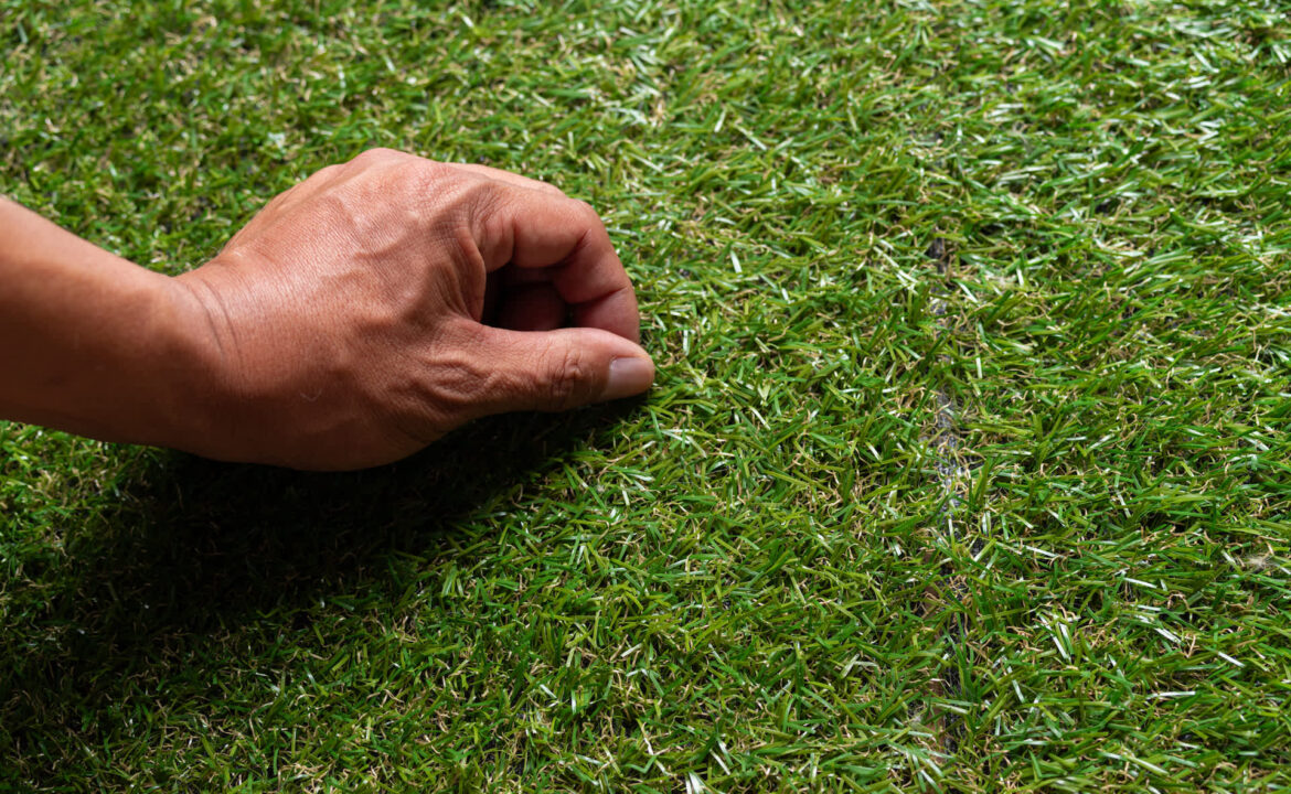 Homeowner met with warnings after sharing concerning yard renovation plan: ‘Please reconsider’ "I had it removed."