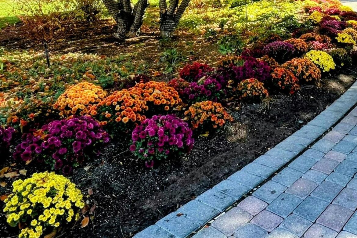 Tips For Protecting Plants From Pests This Autumn Tips For Protecting Plants From Pests This Autumn