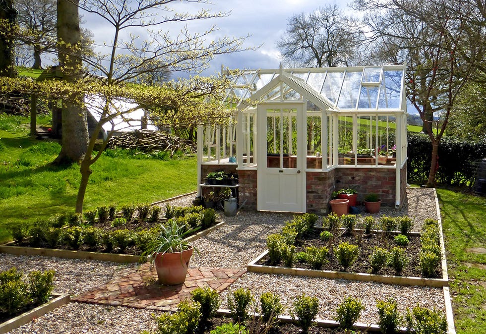 greenhouse in an autumn garden