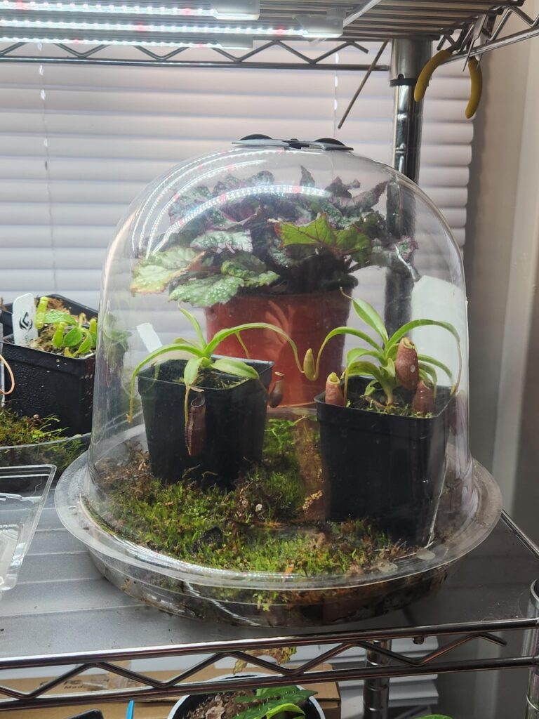 For some reason I really love this set up for my little ones