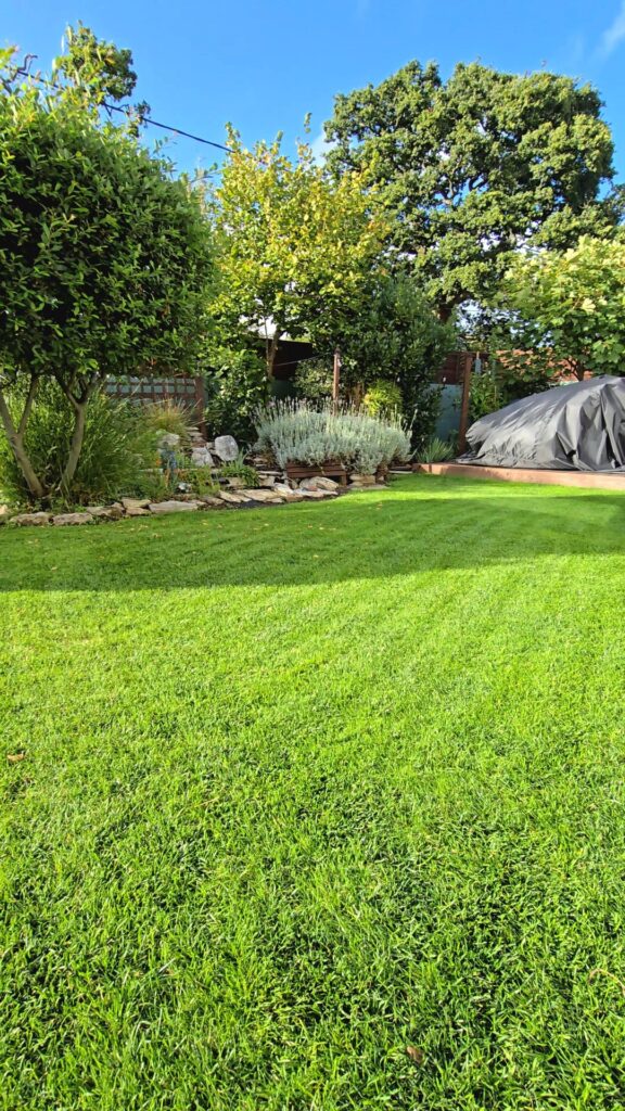 Thoughts, how is it looking? Southwest England.