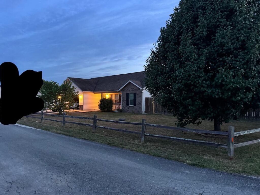 Keep or get rid of fence?