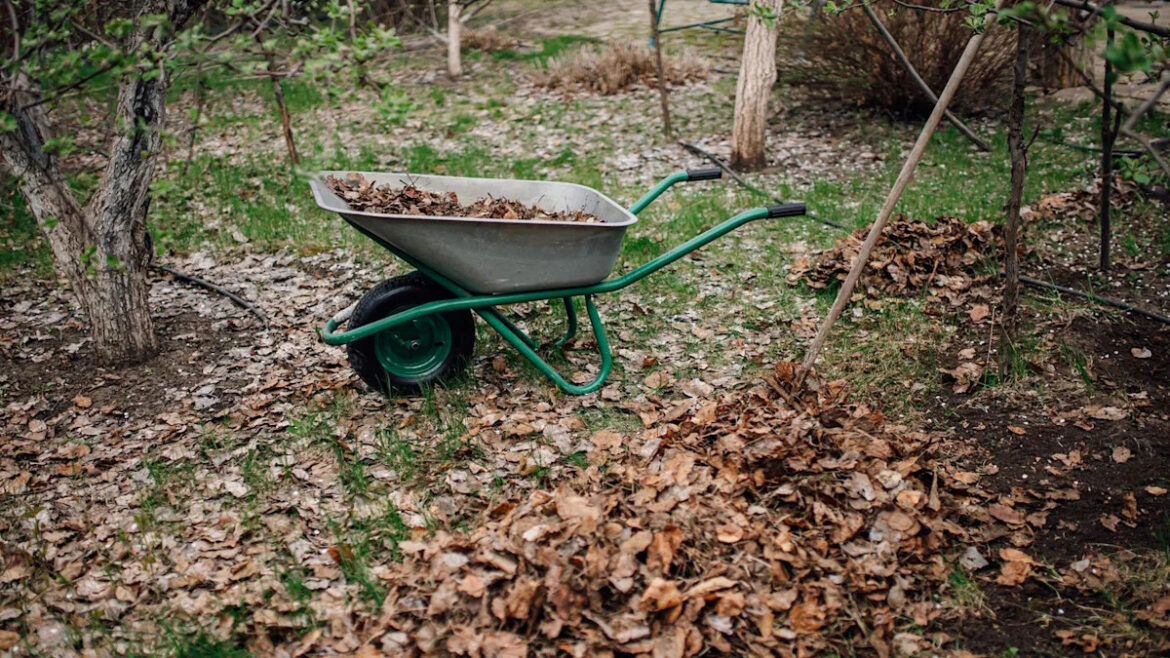 6 Gardening Tasks I Always Do in September, As a Garden Editor 6 Gardening Tasks I Always Do in September, As a Garden Editor