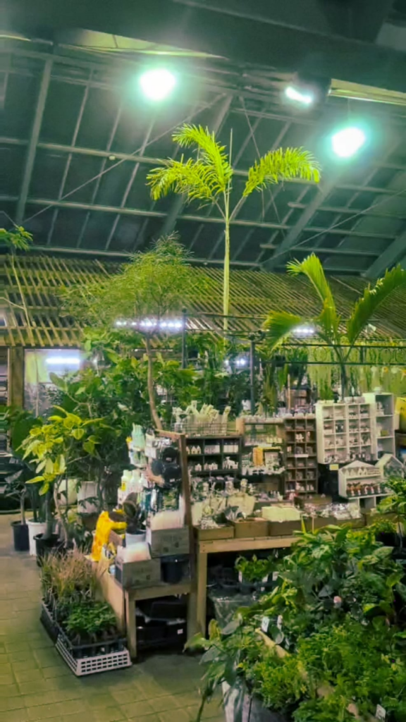 Plant store visit in Yokohama Japan Plant store visit in Yokohama Japan