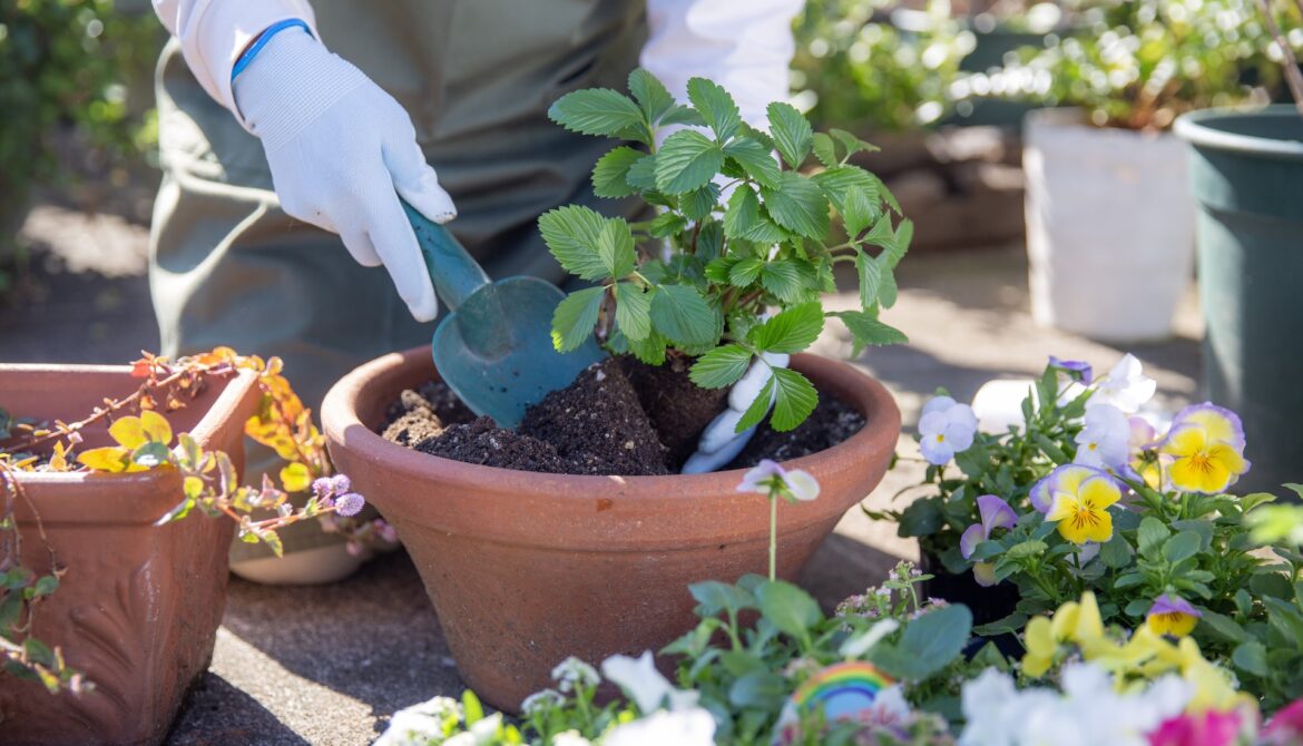 ‘Thanks for sharing your knowledge’ "It's looking great."