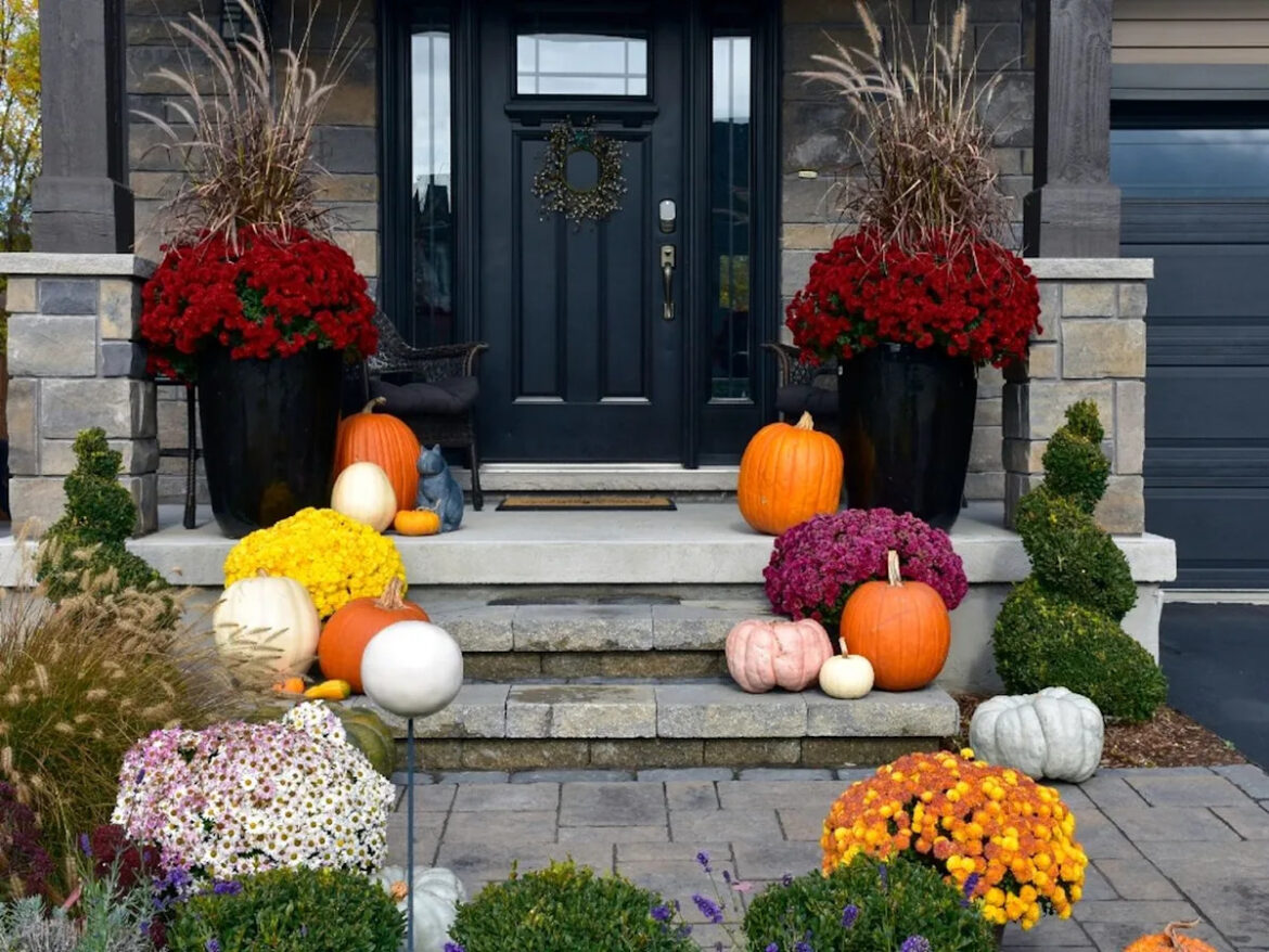 How to give your fall garden a lift