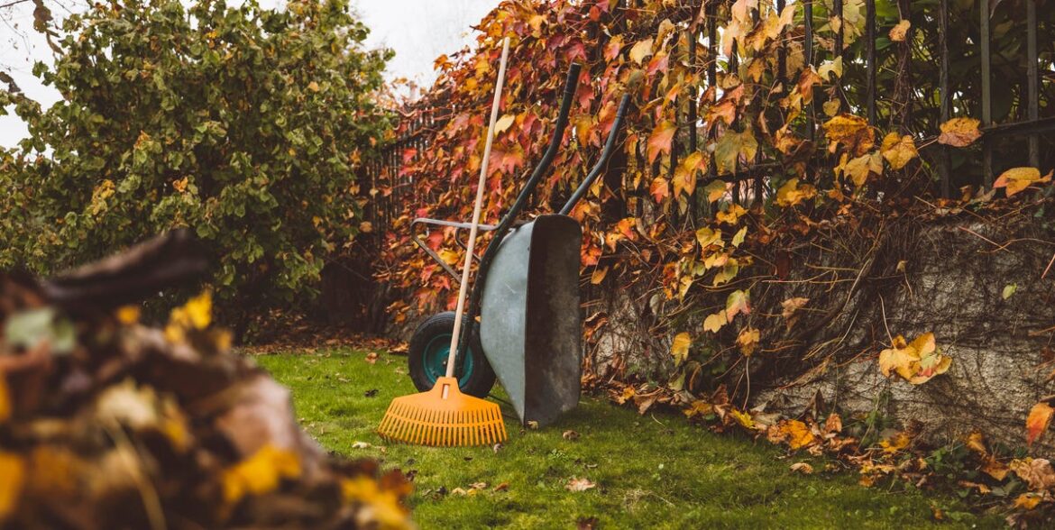 5 Crucial Steps To Put Your Garden To Bed For Winter