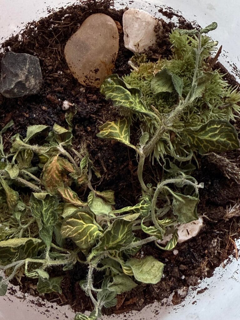 Is there any way of saving it? Is there any way of saving it?