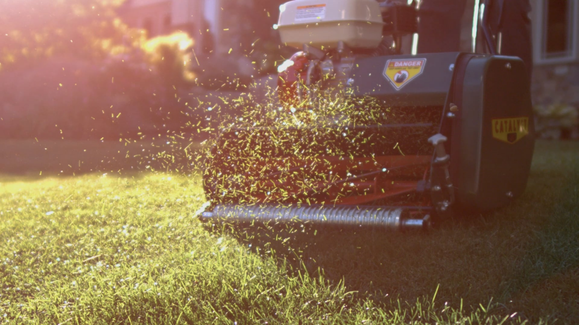 I like grass flying through the air