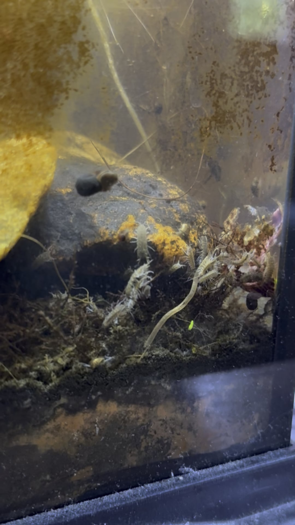 Is this a problem at all?