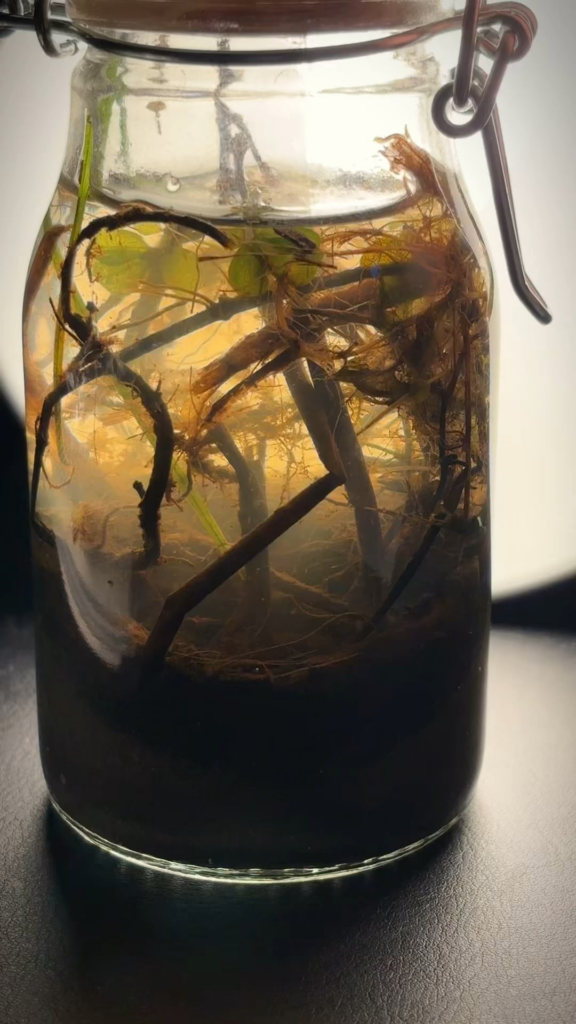 What are these guys?