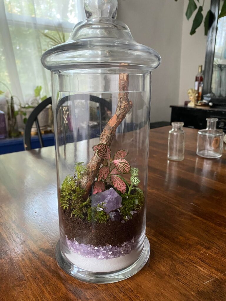 3” jar and Amethyst terrarium 3” jar and Amethyst terrarium