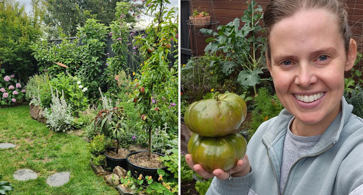 Aussie mum reveals 'secret weapon' to creating edible garden in concrete jungle