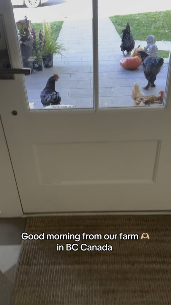 A look at our little farm in BC Canada 🫶🏻