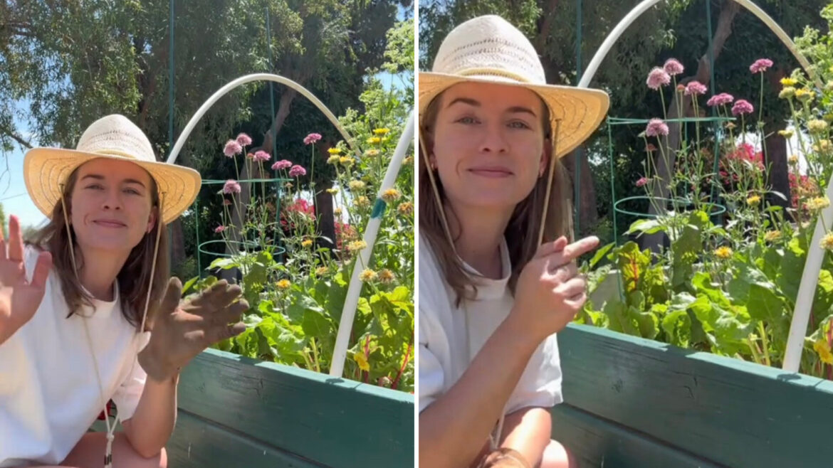 Experienced gardener shares simple hack to keep pests off plants: ‘I never knew’ "Wow!"