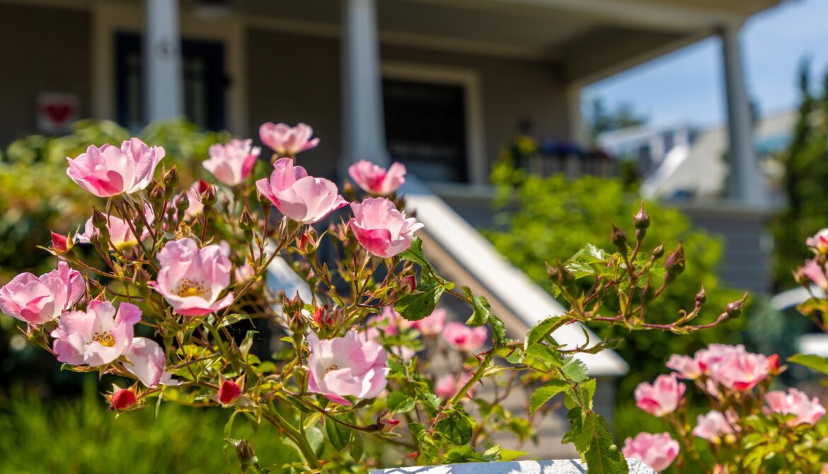Gardener captures beautiful video of unexpected backyard visitor: ‘Love seeing this’ "That's what we do it for."