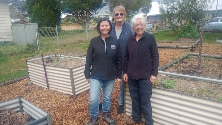 GARDEN RAMBLES 2025 – EP 31 – SHELLEY STREET COMMUNITY GARDEN GARDEN RAMBLES 2025 - EP 31 - SHELLEY STREET COMMUNITY GARDEN