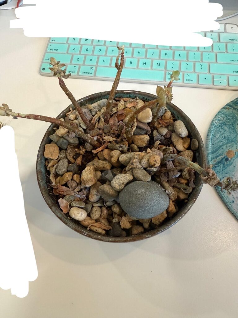 my doctor just handed me … this.