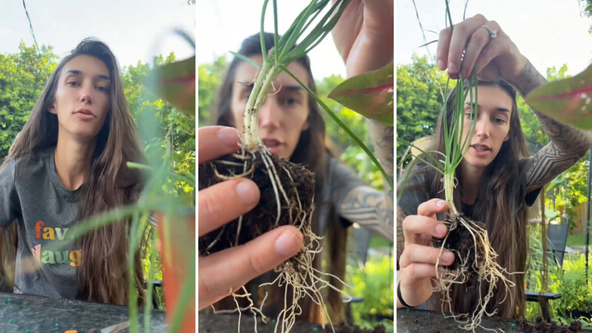 ‘I’ve been over paying at the grocery store for no reason’ "Love!!!!"