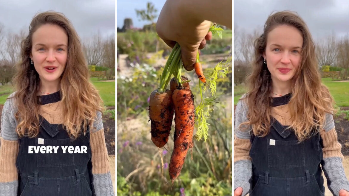 Gardener shares simple hack to keep pests off vegetable plants: ‘This is so useful’ "Brilliant tip."
