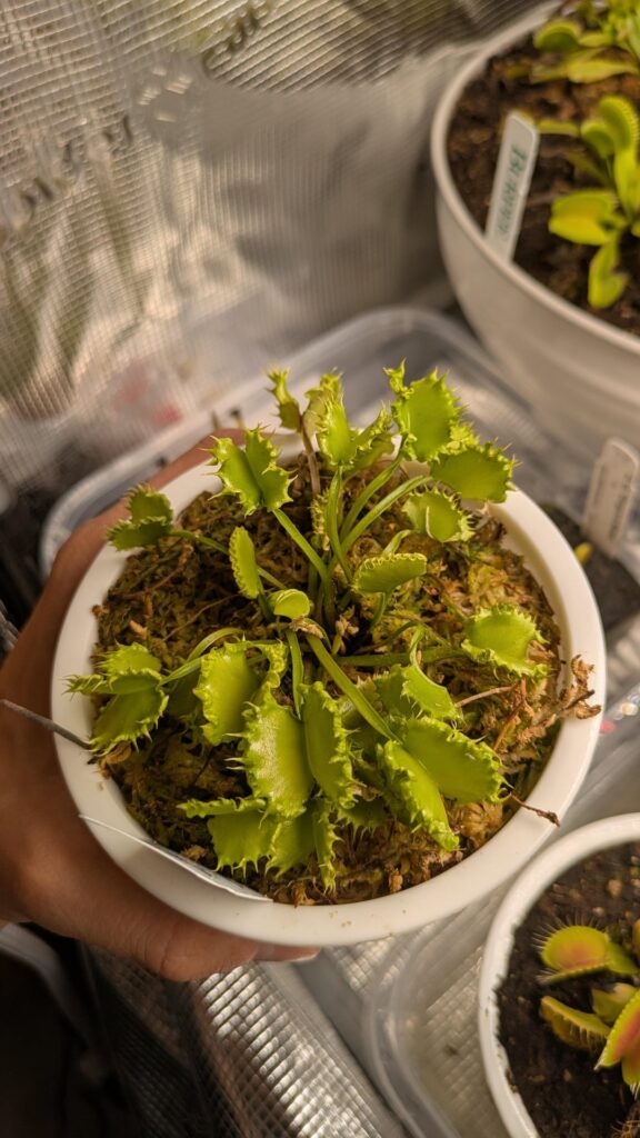 Home Depot with some cool VFT's