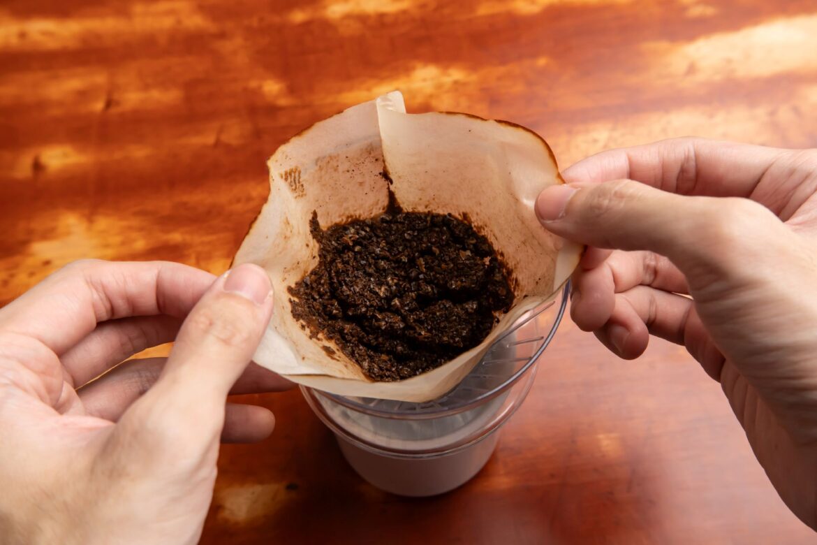 Gardener reveals why you shouldn’t be throwing coffee grounds in trash: ‘There are great benefits’ "Who doesn’t love coffee?"