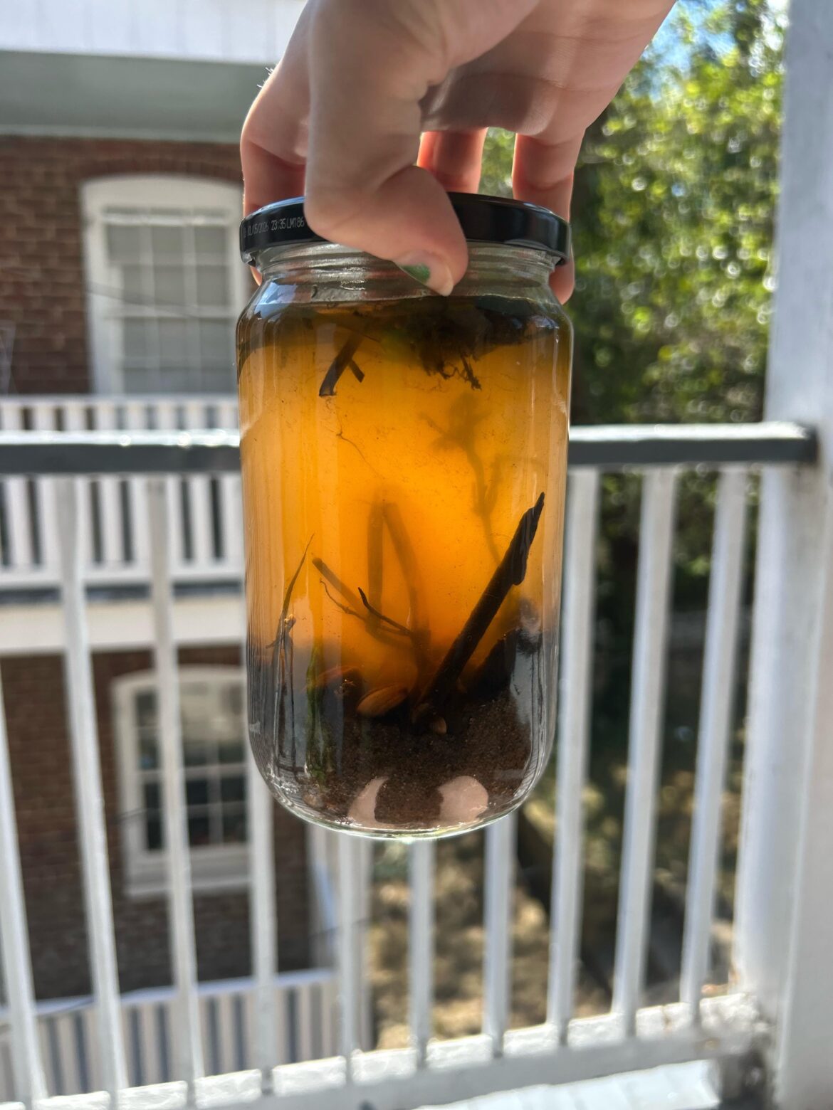 First ecojar what even the fuck happened