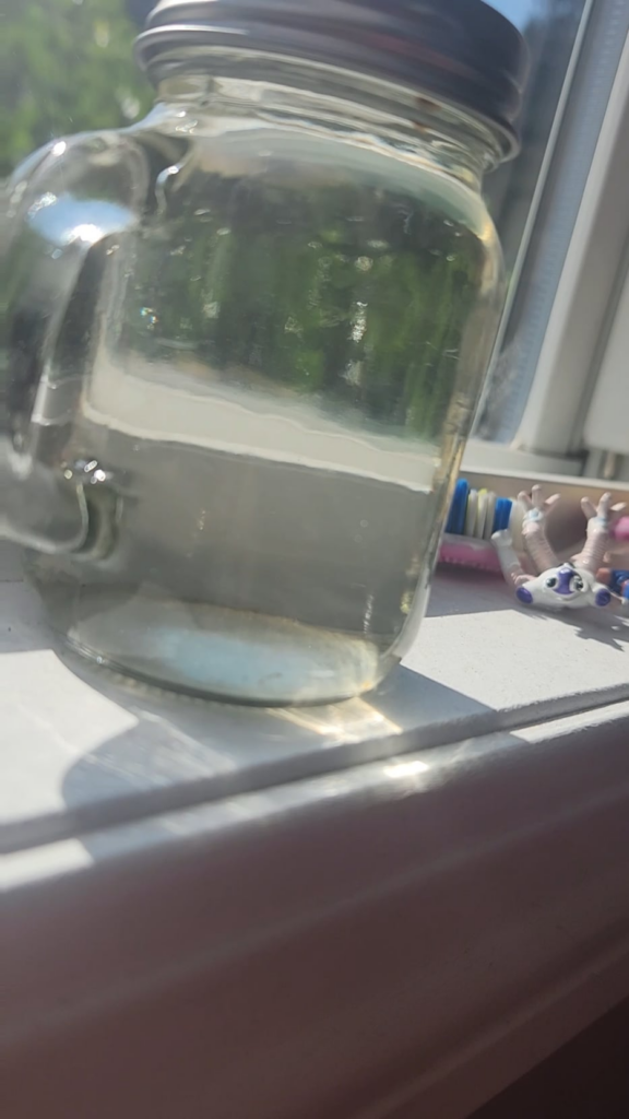 I got my first jar of swamp water and it has a bunch of teeny lil guys in it and I'm so happy