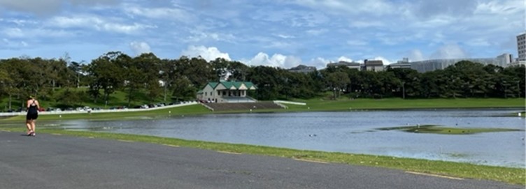The Auckland Domain flooded during the 2023 Auckland floods.