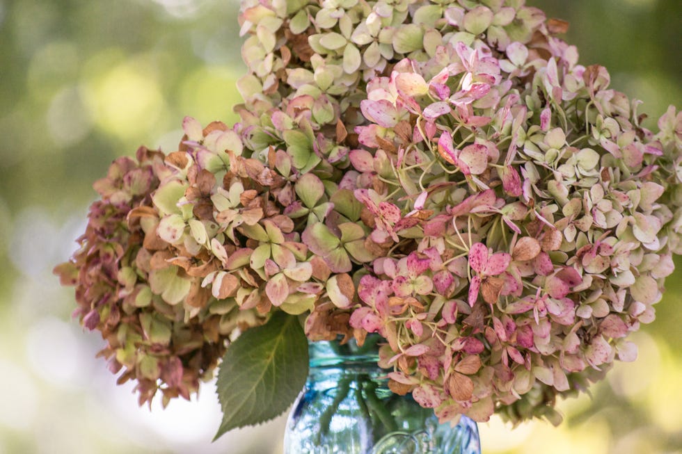 late summer floral