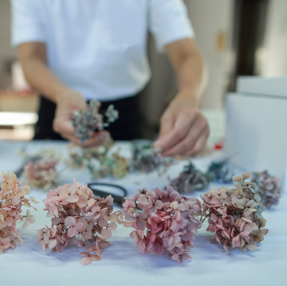 how to dry hydrangeas