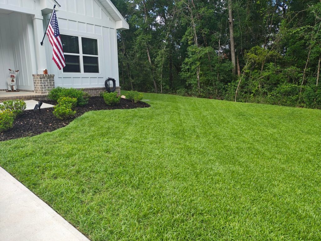 6 Months – Thank you all 6 Months - Thank you all