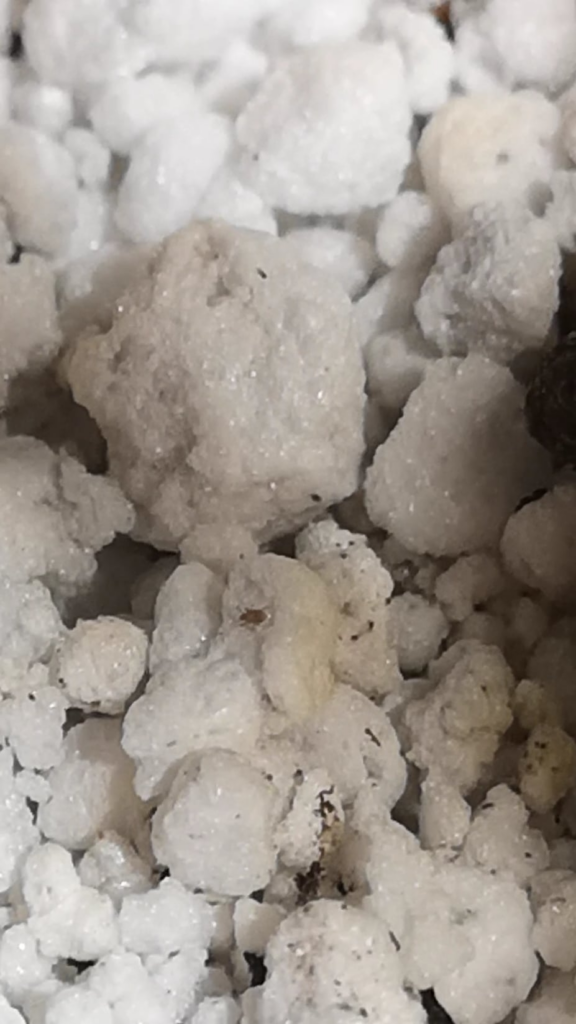 Excuse me TF? What is this creature and how much should I be worried? Excuse me TF? What is this creature and how much should I be worried?