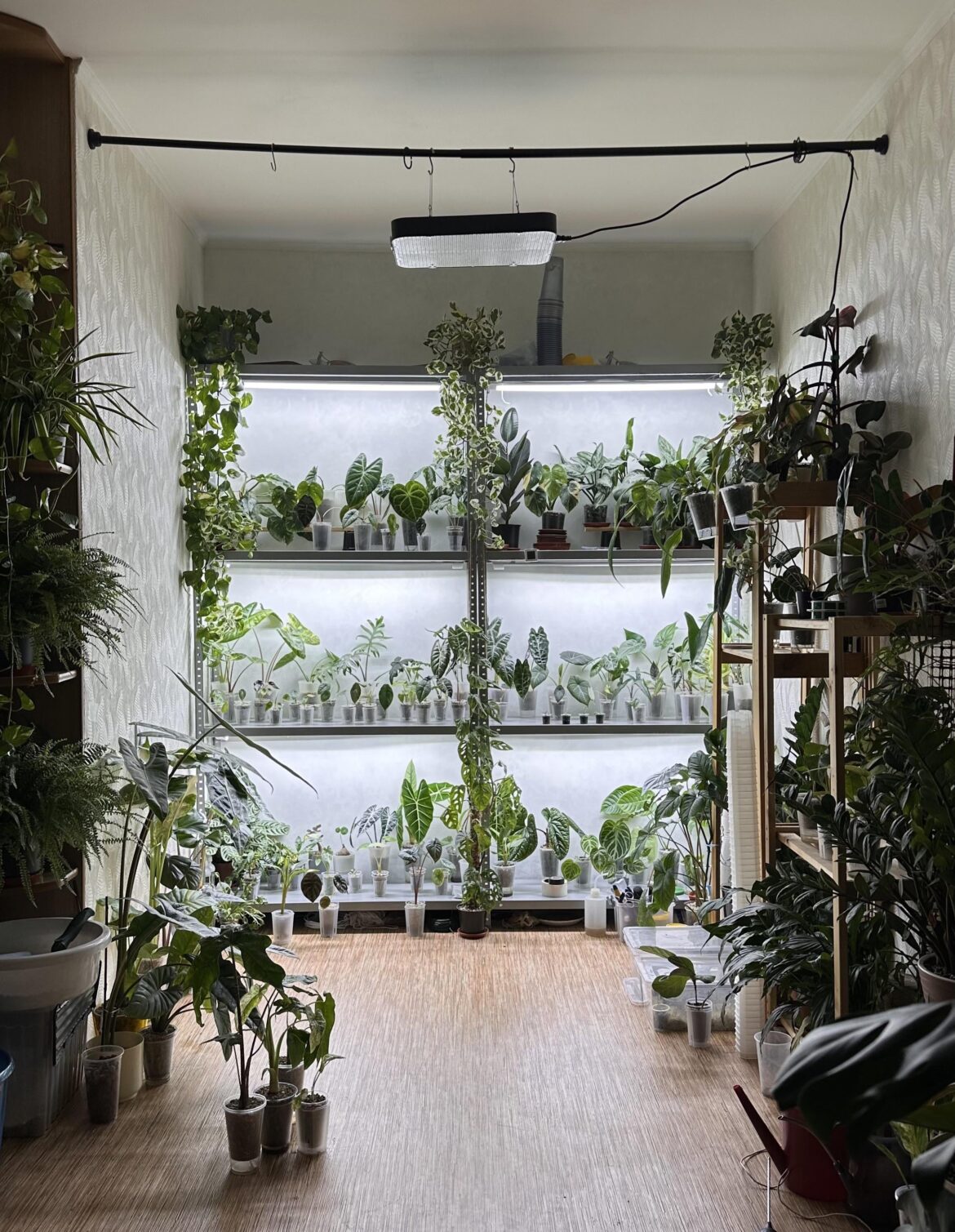 I live here 😅💚